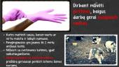Toksoplasmozė 6 puslapis