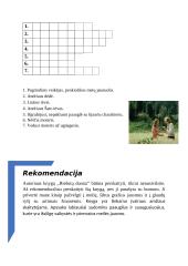 Riešutų duona - knygos pristatymas ir kryžiažodis 4 puslapis