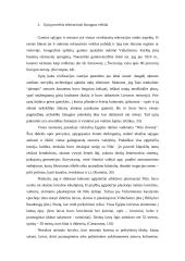 Lietuvos upių įtaka žmogaus rekreacinei veiklai 2 puslapis