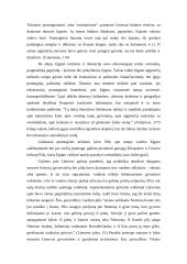 Lietuvos upių įtaka žmogaus rekreacinei veiklai 3 puslapis