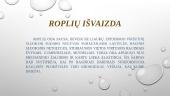 Pristatymas apie roplius 2 puslapis