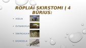 Pristatymas apie roplius 3 puslapis
