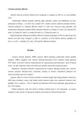 Lietuvos prekyba su užsieniu 15 puslapis