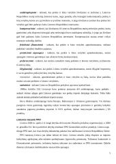 Lietuvos-užsienio prekyba 4 puslapis