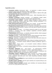 Lietuvos užsienio prekybos palyginamoji analizė 2 puslapis