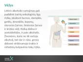 Alkoholio sąlygotos patologijos 14 puslapis