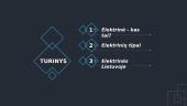 Elektrinių tipai Lietuvoje (skaidrės) 2 puslapis