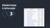 Elektrinių tipai Lietuvoje (skaidrės) 14 puslapis