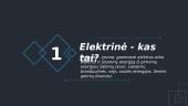 Elektrinių tipai Lietuvoje (skaidrės) 3 puslapis