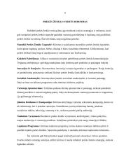 Prekių ženklo vertė. Praktiniai pavyzdžiai 5 puslapis
