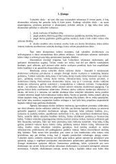 Lietuvos valstybės skolos 2 puslapis