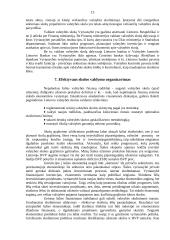 Lietuvos valstybės skolos 13 puslapis