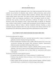 Lietuvos valstybinio turto privatizavimas 4 puslapis