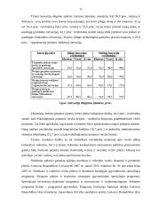 Lietuvos verslo plėtros galimybės 11 puslapis