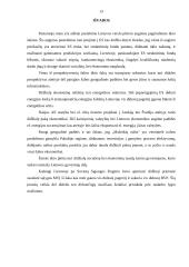 Lietuvos verslo plėtros galimybės 13 puslapis