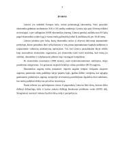 Lietuvos verslo plėtros galimybės 3 puslapis