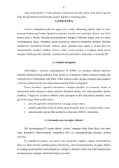 Lietuvos verslo plėtros galimybės 6 puslapis