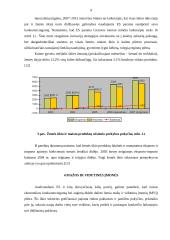 Lietuvos verslo plėtros galimybės 9 puslapis