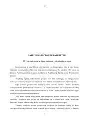 Lietuvos vertybinių popierių rinkos aktyvumo skatinimo būdai 12 puslapis