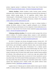 Konservatyvus – korporatyvinis gerovės valstybės modelis 3 puslapis