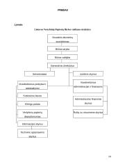 Lietuvos vertybinių popierių rinkos ypatumai 13 puslapis