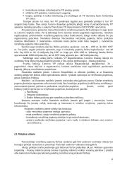 Lietuvos vertybinių popierių rinkos ypatumai 5 puslapis