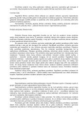 Lietuvos vertybinių popierių rinkos ypatumai 6 puslapis