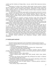 Lietuvos vertybinių popierių rinkos ypatumai 8 puslapis