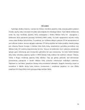 Lietuvos, Latvijos, Estijos vertybinių popierių rinkų įvertinimas 16 puslapis