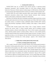 Lietuvos, Latvijos, Estijos vertybinių popierių rinkų įvertinimas 3 puslapis