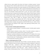 Lietuvos, Latvijos, Estijos vertybinių popierių rinkų įvertinimas 4 puslapis