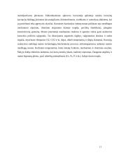 Lyginamosios metalų ir jų lydinių savybės ir panaudojimas 11 puslapis