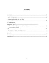 Audito rūšys ir jų klasifikavimas