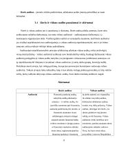 Audito rūšys ir jų klasifikavimas 10 puslapis