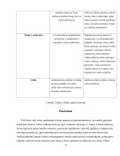 Audito rūšys ir jų klasifikavimas 11 puslapis