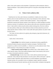 Audito rūšys ir jų klasifikavimas 12 puslapis