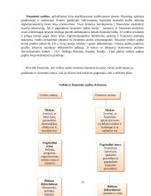 Audito rūšys ir jų klasifikavimas 14 puslapis