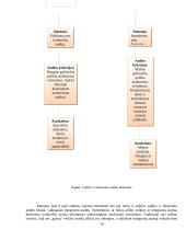 Audito rūšys ir jų klasifikavimas 15 puslapis