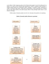Audito rūšys ir jų klasifikavimas 16 puslapis