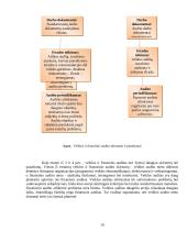 Audito rūšys ir jų klasifikavimas 18 puslapis