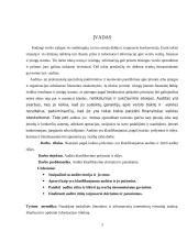 Audito rūšys ir jų klasifikavimas 2 puslapis