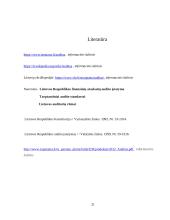 Audito rūšys ir jų klasifikavimas 20 puslapis