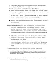 Audito rūšys ir jų klasifikavimas 6 puslapis