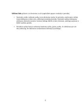 Audito rūšys ir jų klasifikavimas 7 puslapis