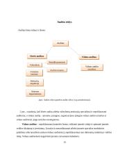 Audito rūšys ir jų klasifikavimas 9 puslapis
