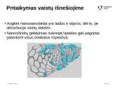 Moksliniai pasiekimai nanochemijos srityje. Anglies nanocilindrai 6 puslapis
