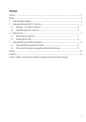 Lygių galimybių politika 2 puslapis