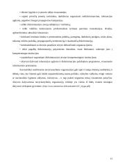 Lygių galimybių politika 13 puslapis