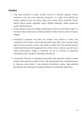 Lygių galimybių politika 14 puslapis