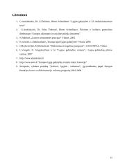 Lygių galimybių politika 15 puslapis